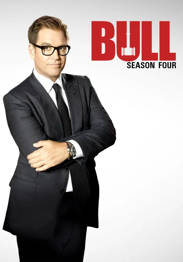 Bull poster