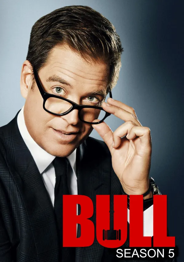 Bull poster