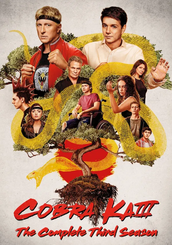 Cobra Kai poster