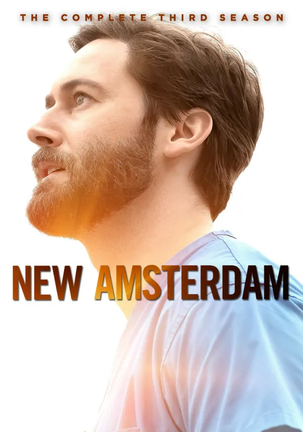 New Amsterdam poster