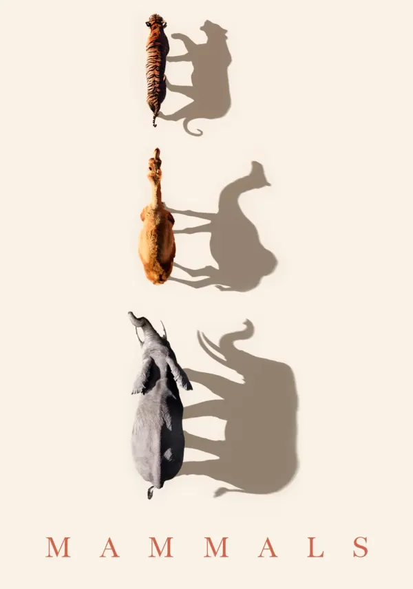 Mammals poster
