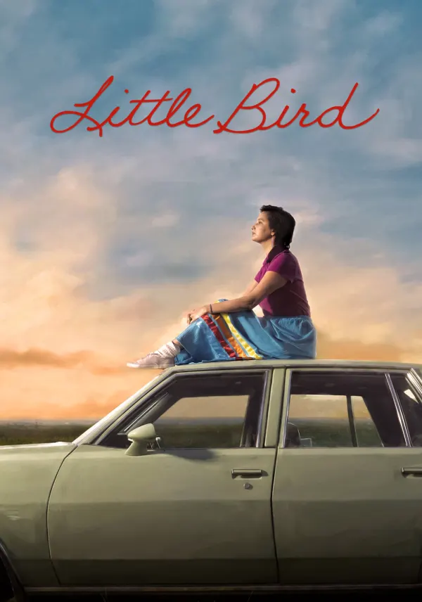 Little Bird poster