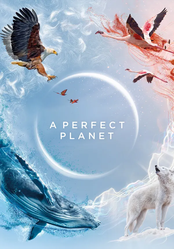 A Perfect Planet poster