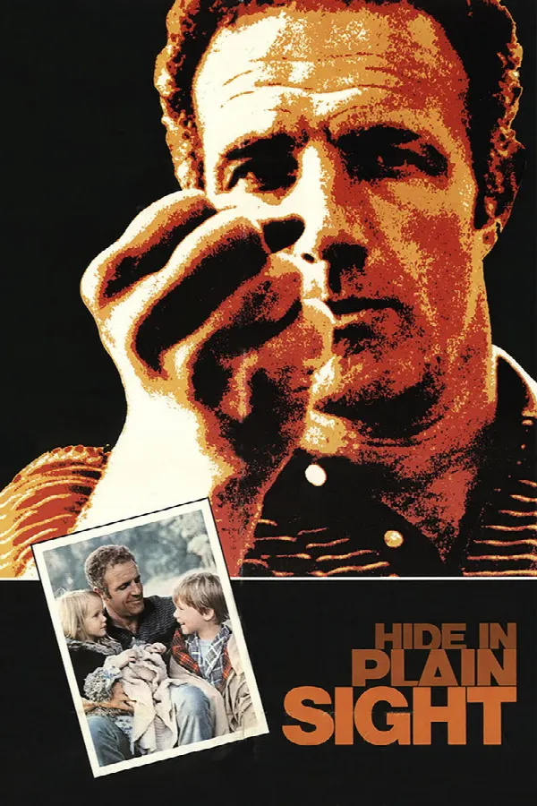Hide in Plain Sight poster