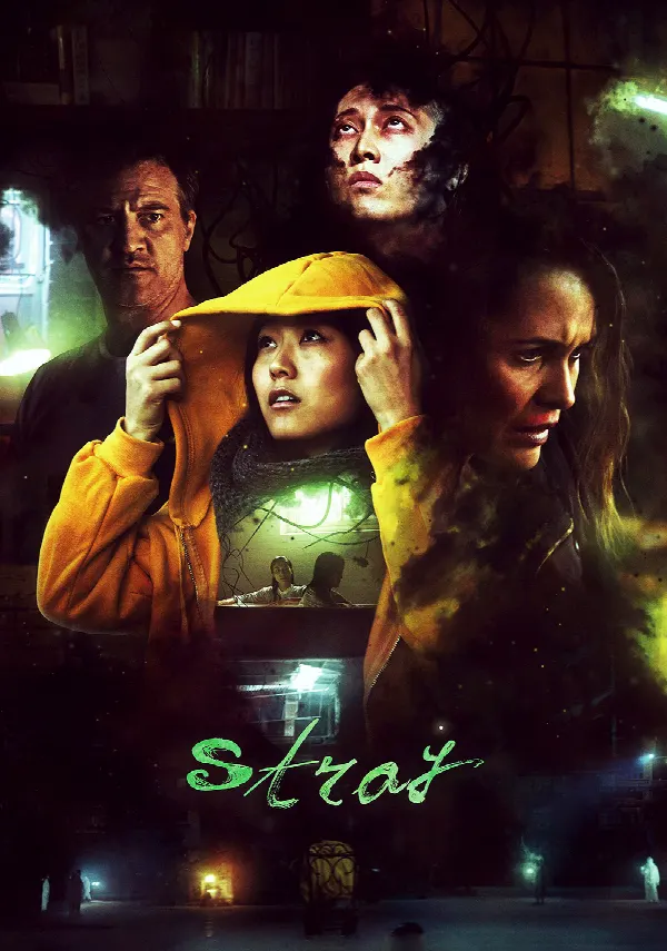 Stray poster