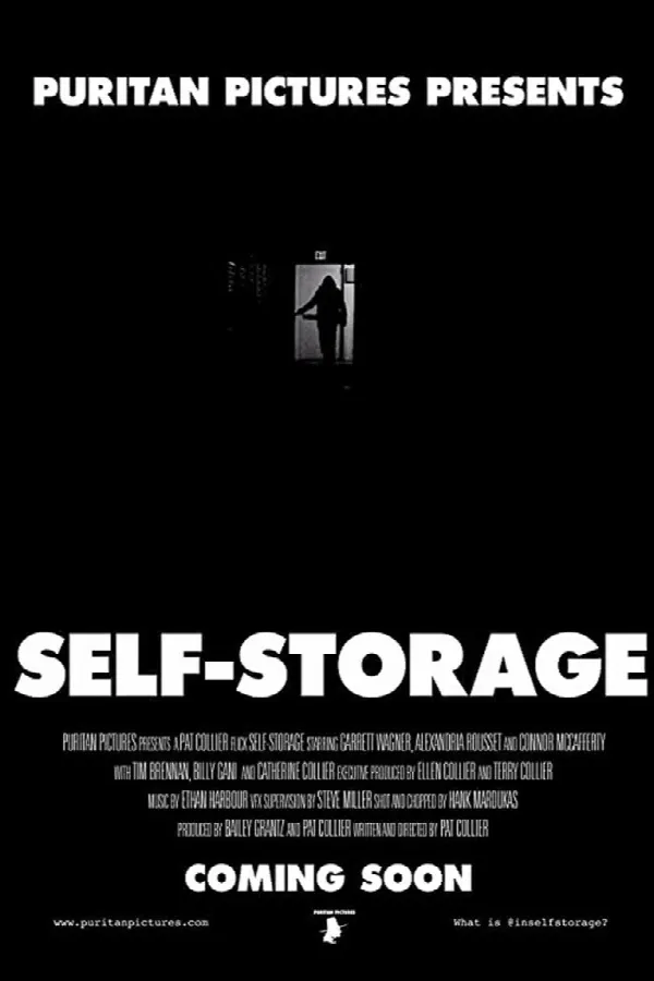 Self-Storage poster
