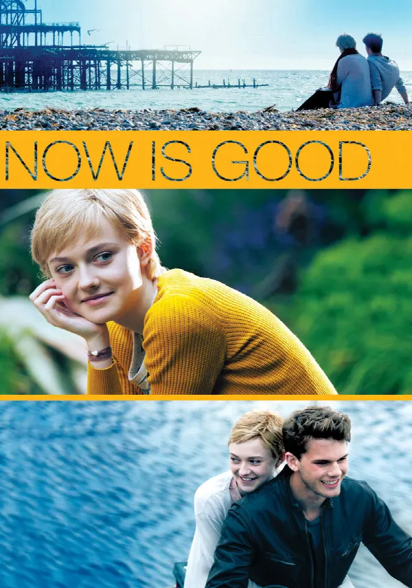 Now Is Good poster