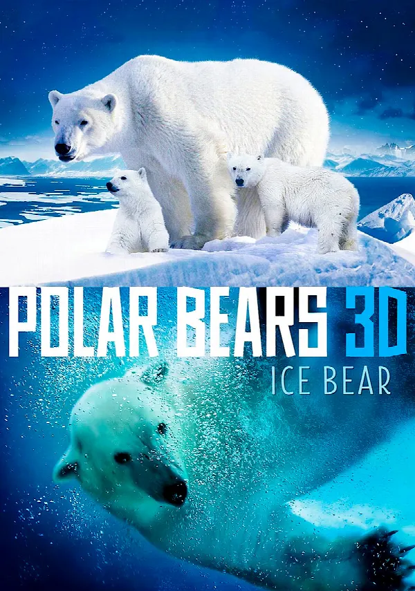 Polar Bears: Ice Bear poster
