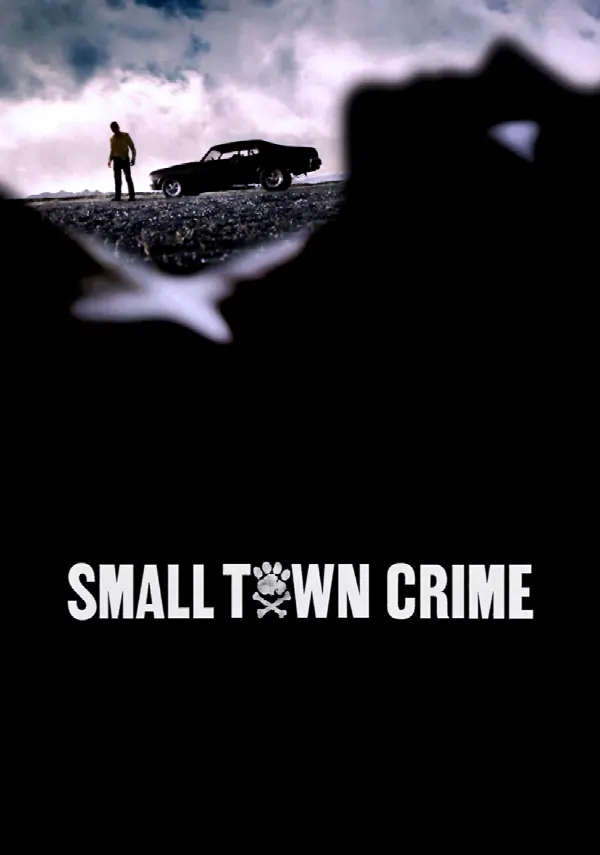 Small Town Crime poster