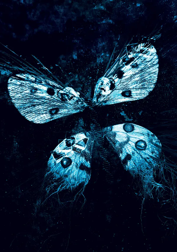 The Butterfly Effect 3: Revelations poster