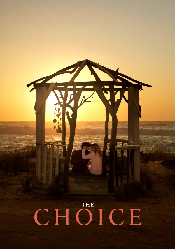 The Choice poster