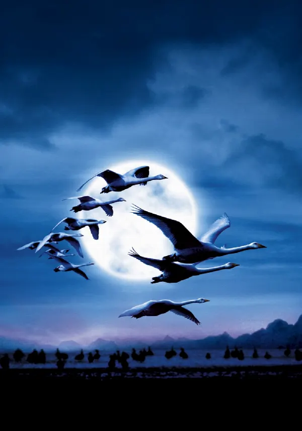 Winged Migration poster