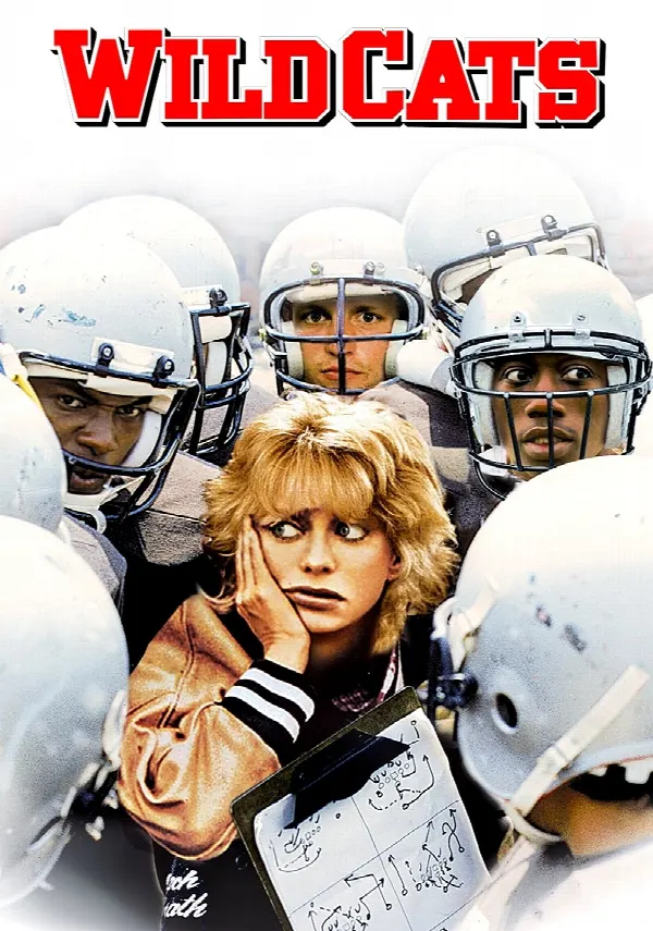Wildcats poster