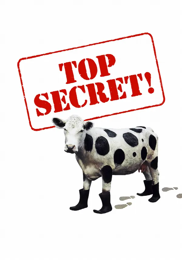 Top Secret! poster