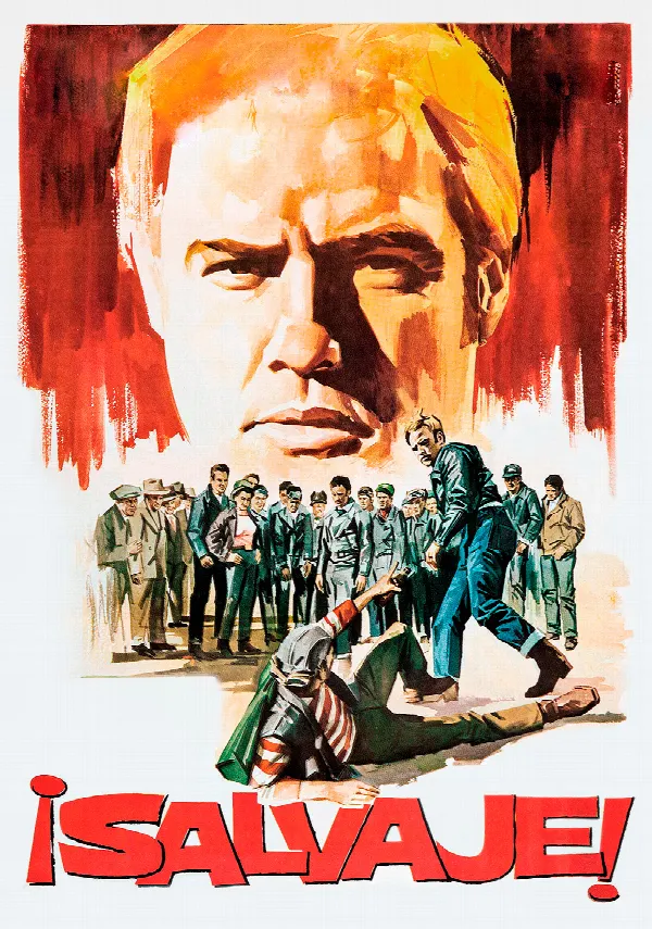 The Wild One poster