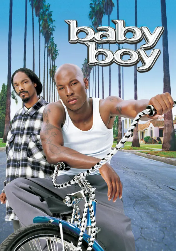 Baby Boy poster