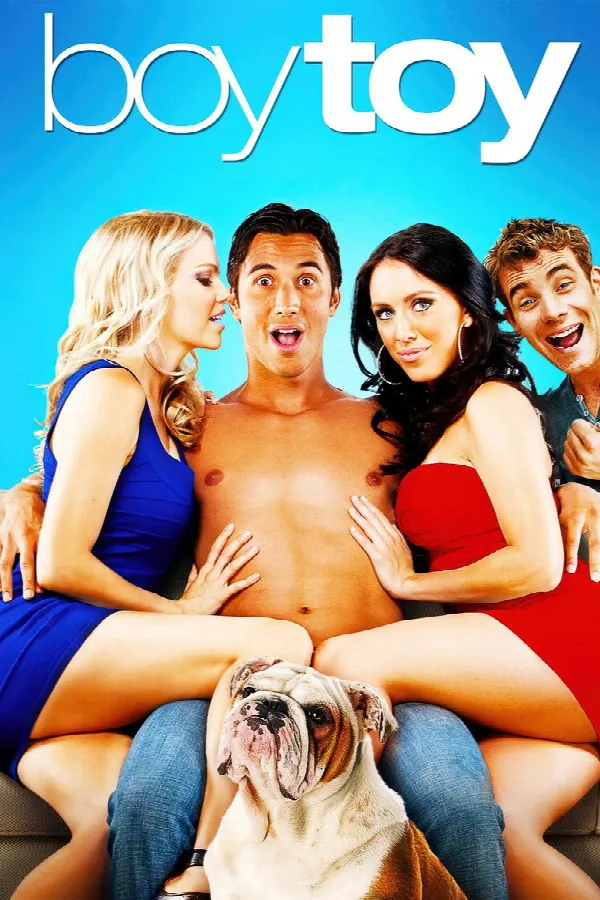 Boy Toy poster