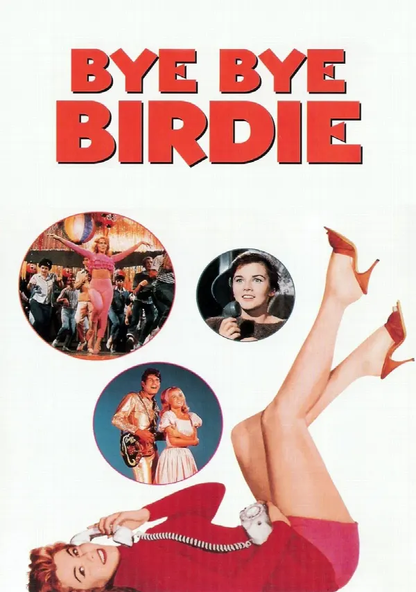 Bye Bye Birdie poster