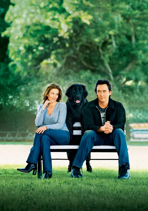 Must Love Dogs poster