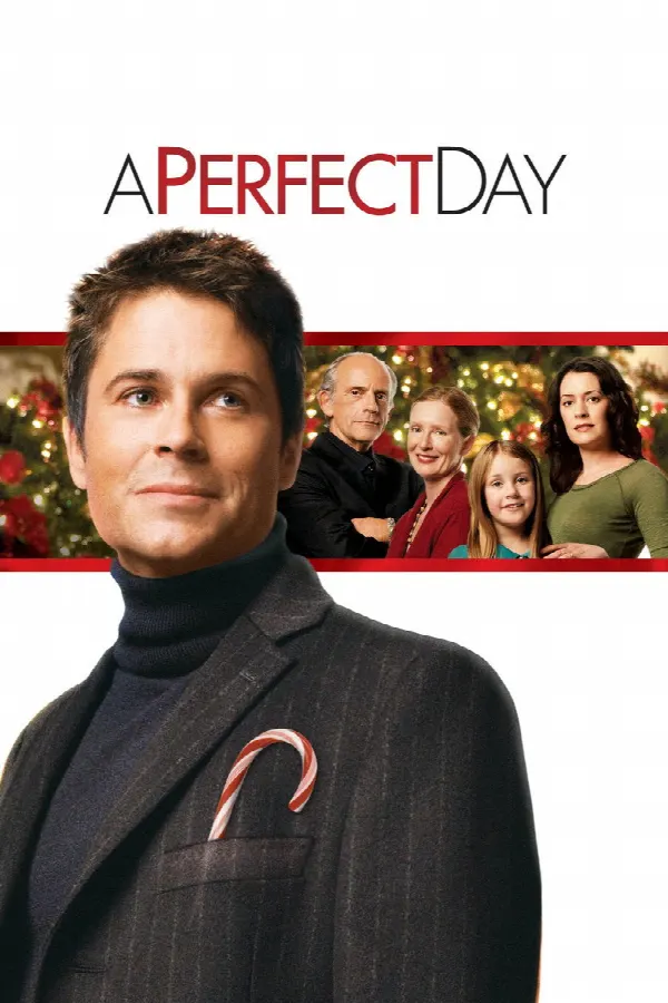 A Perfect Day poster