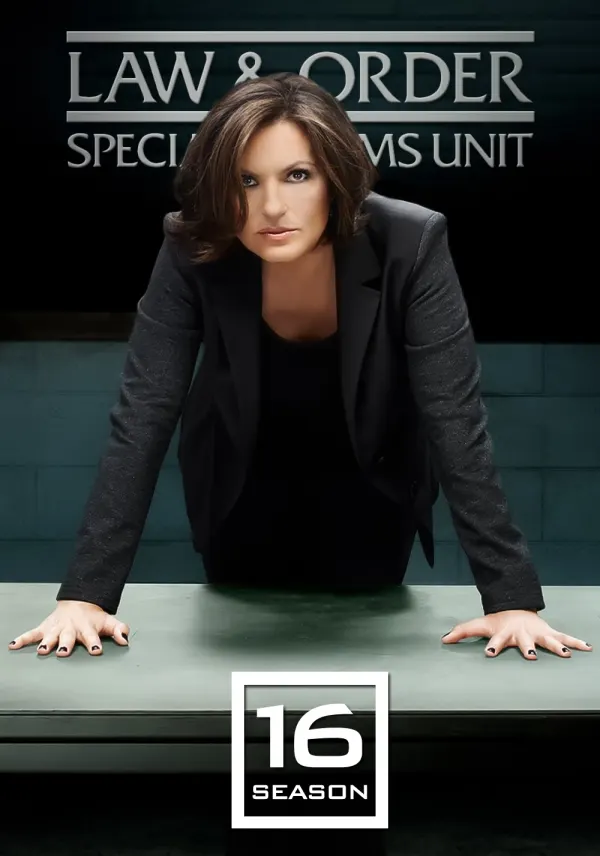 Law & Order: Special Victims Unit poster