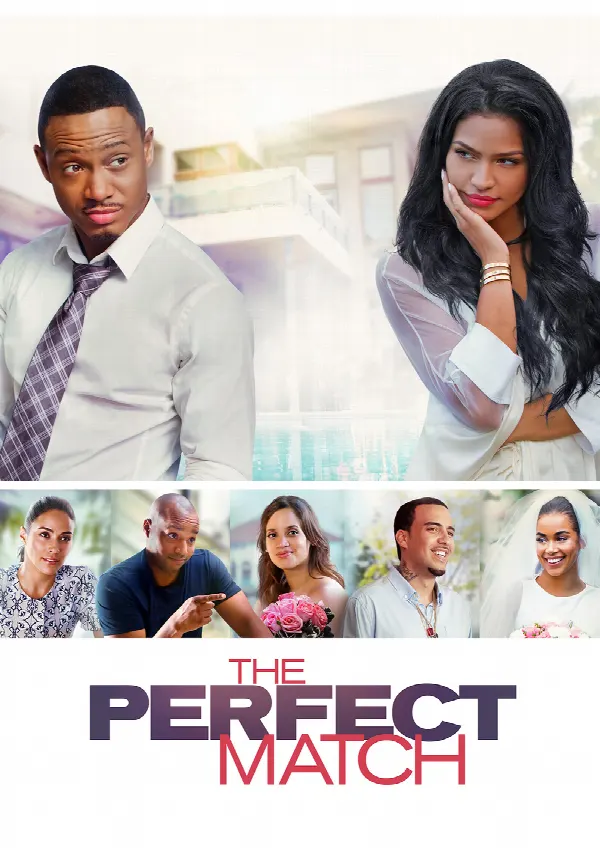 The Perfect Match poster