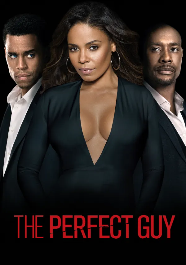 The Perfect Guy poster