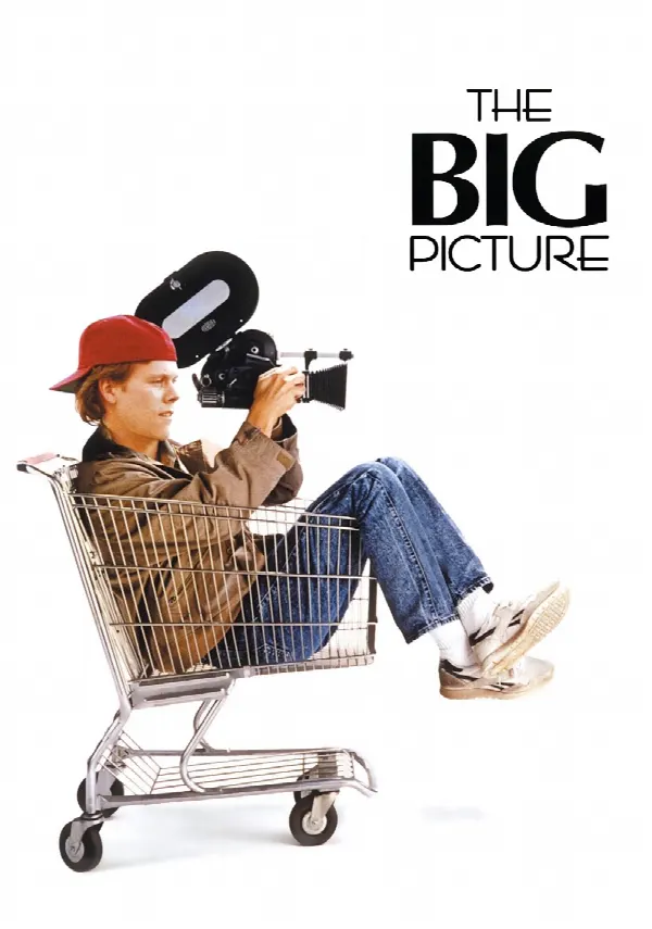 The Big Picture poster