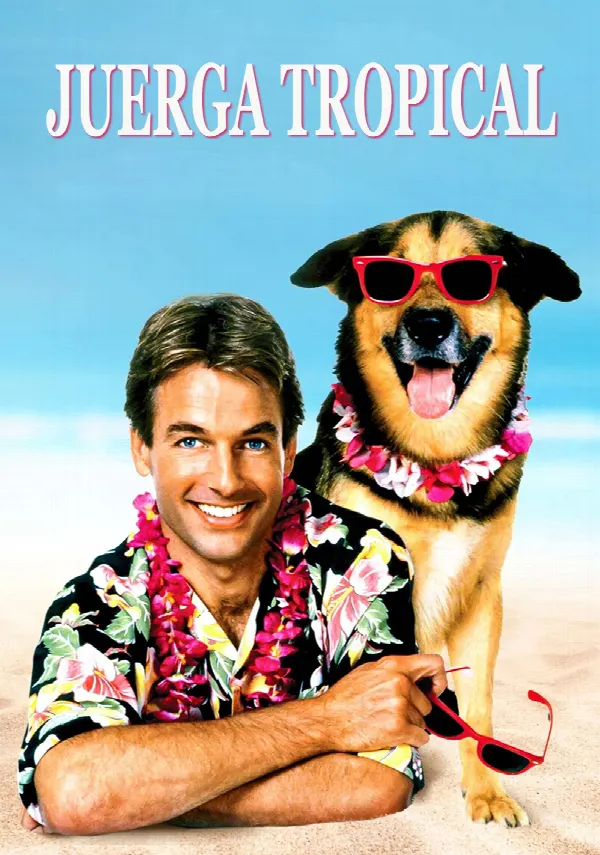 Summer School poster