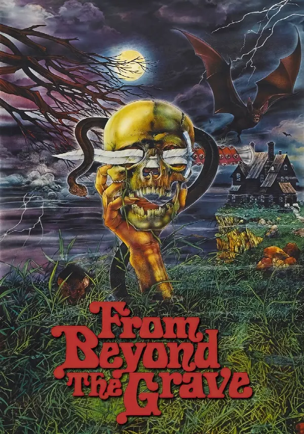 From Beyond the Grave poster