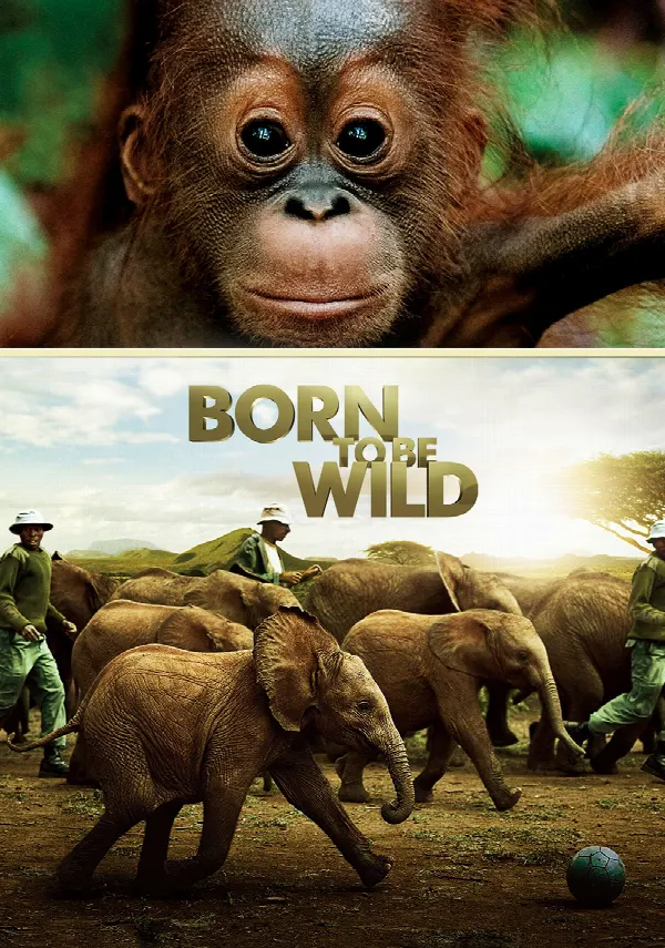 Born to Be Wild poster