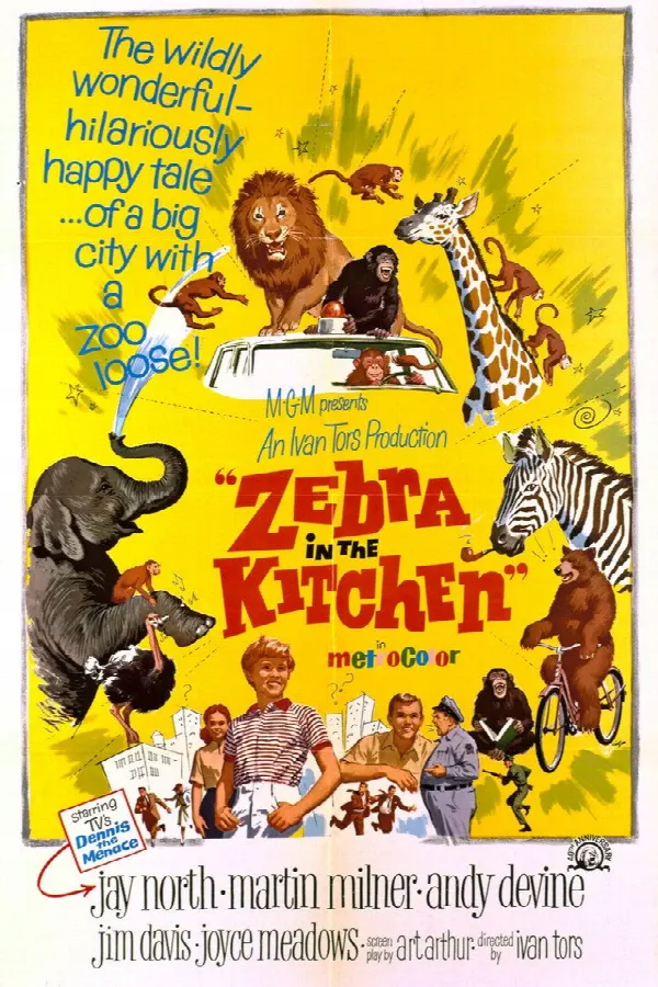 Zebra in the Kitchen poster