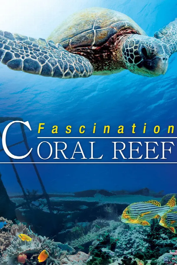 Fascination Coral Reef poster
