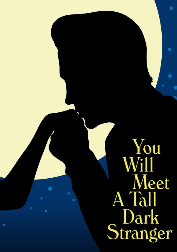 You Will Meet a Tall Dark Stranger poster