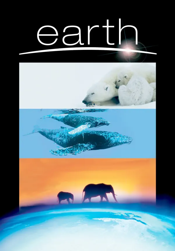Earth poster