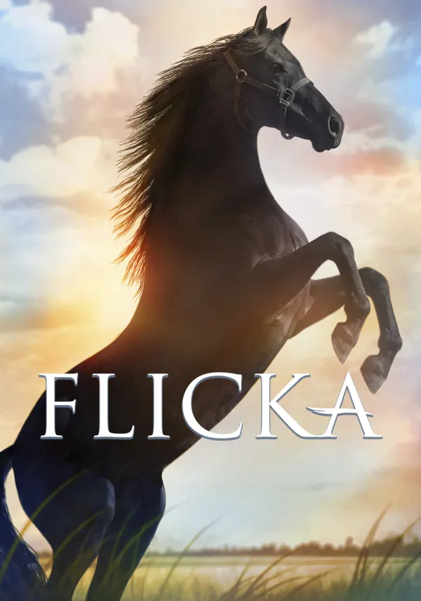 Flicka poster