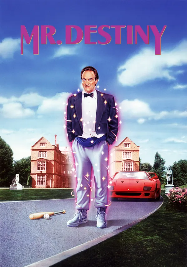 Mr. Destiny poster