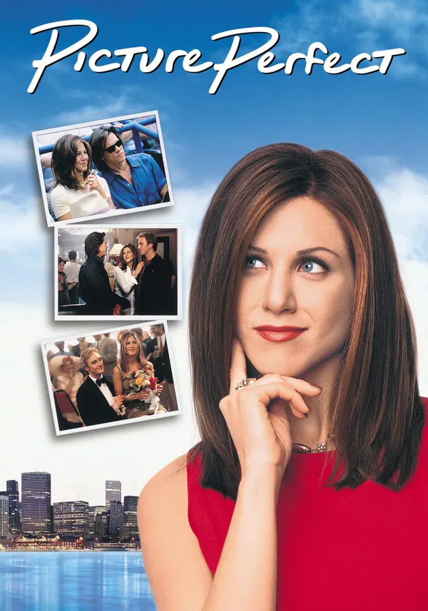 Picture Perfect poster