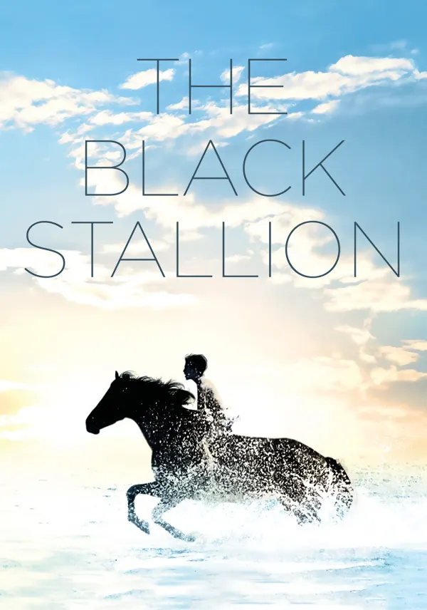 The Black Stallion poster
