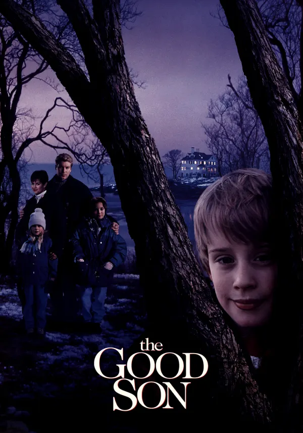 The Good Son poster